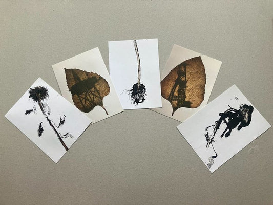 Ancient Sunlight 5 x postcard set