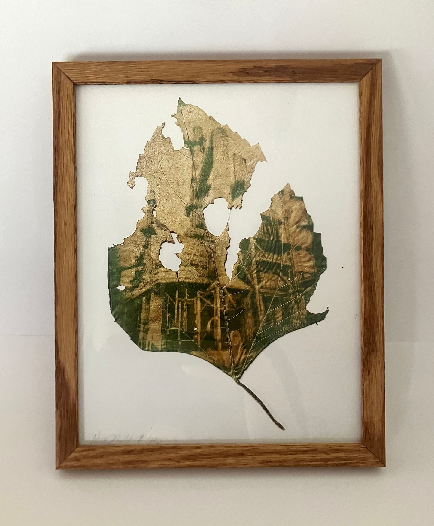 Ancient Sunlight Art Print - Refinery Slug (Framed)