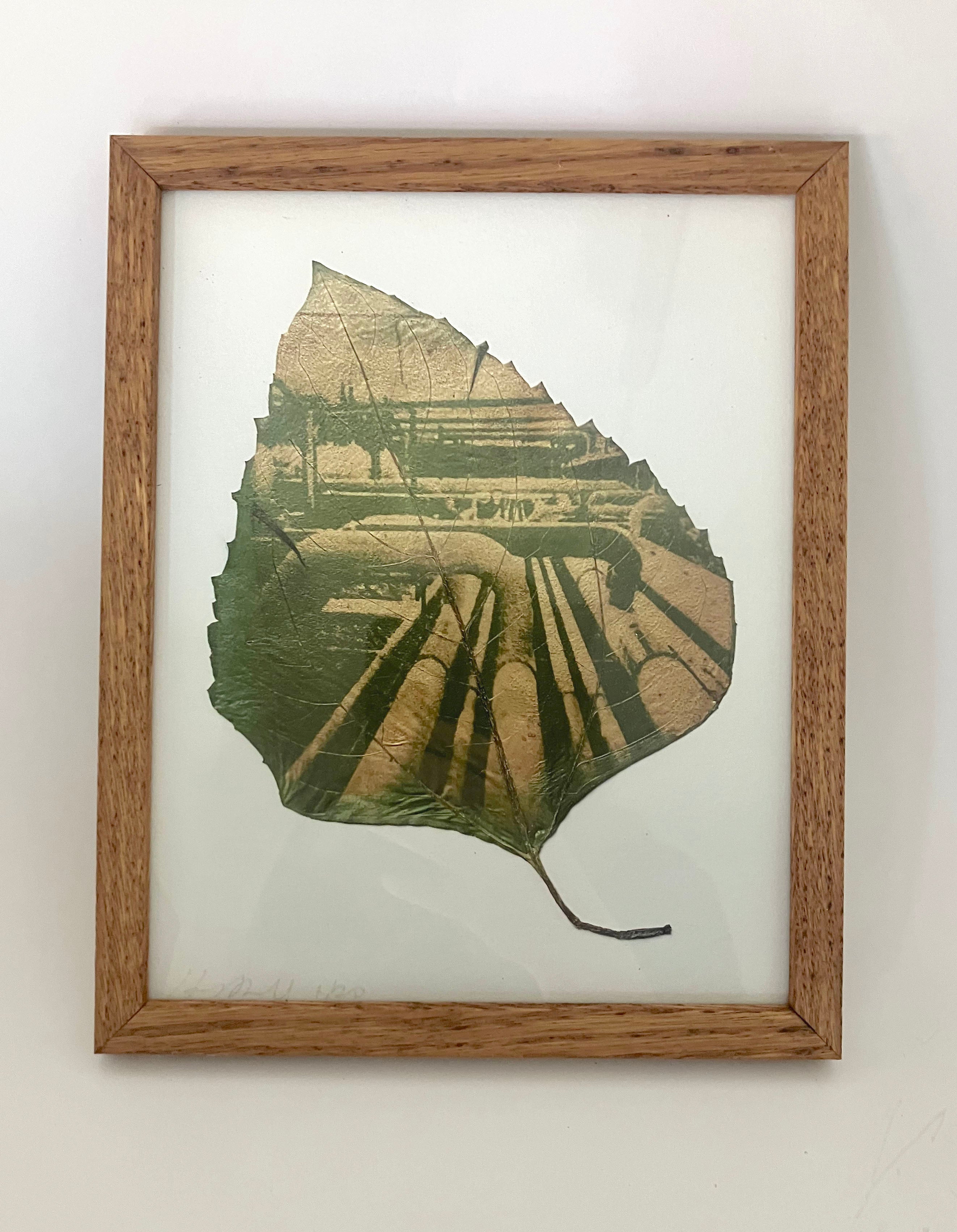 Ancient Sunlight Art Print - Pipelines (Framed)