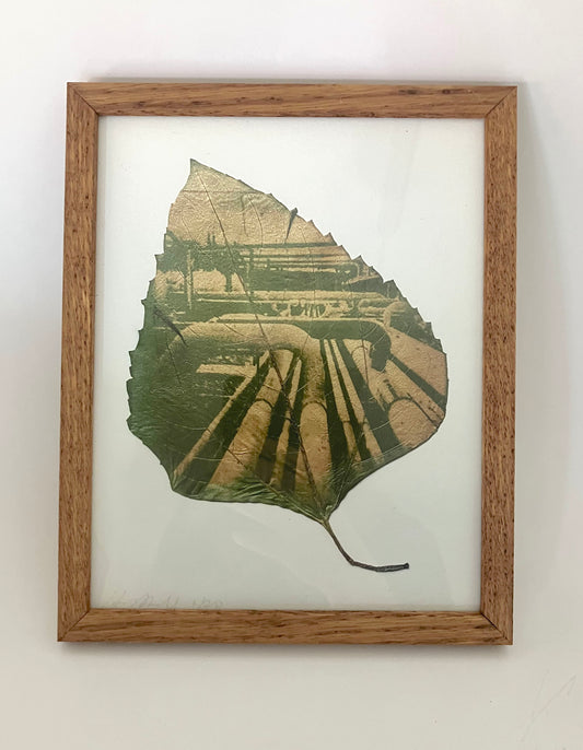 Ancient Sunlight Art Print - Pipelines (Framed)