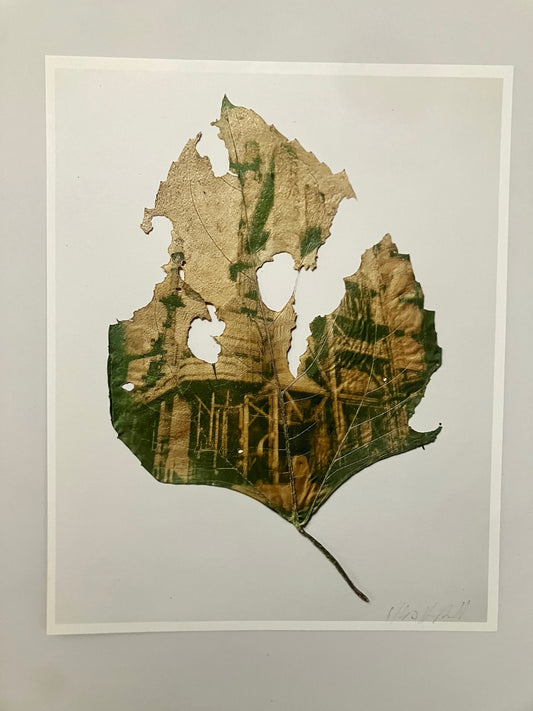 Ancient Sunlight Art Print - Refinery Slug (Unframed)